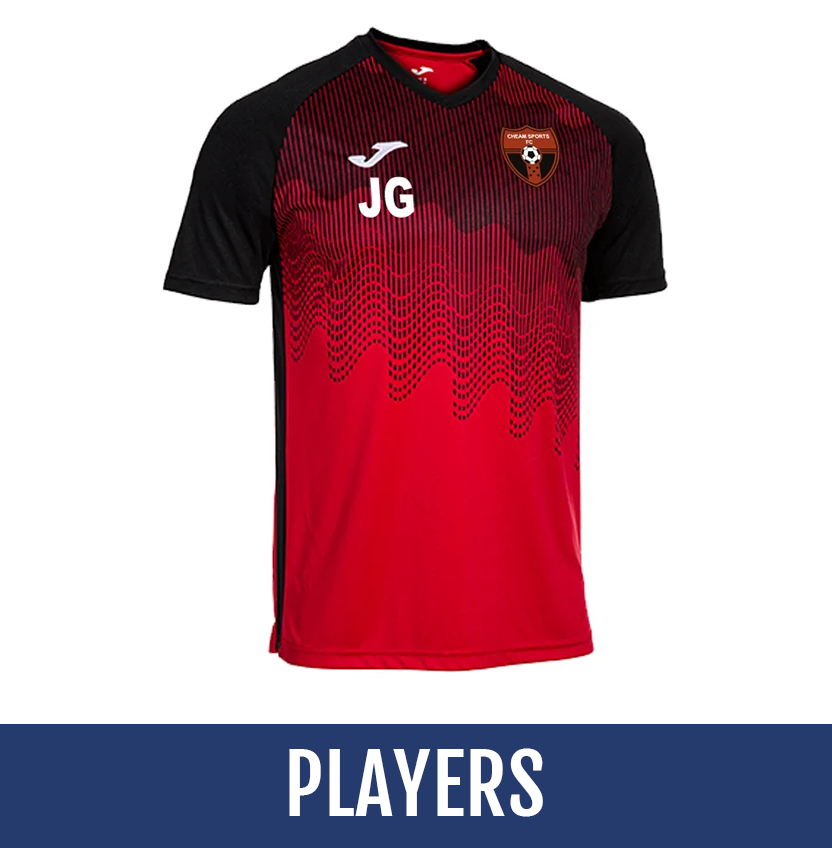 Direct soccer banner link