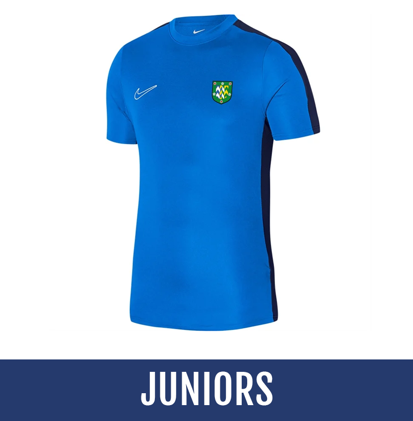 Direct soccer banner link