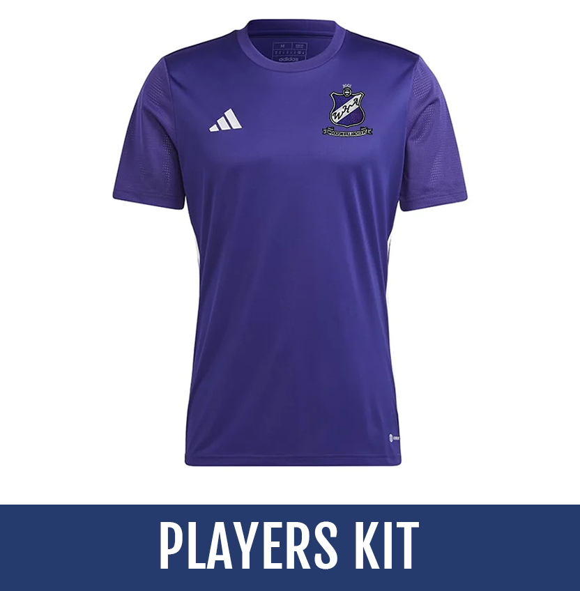 Direct soccer banner link