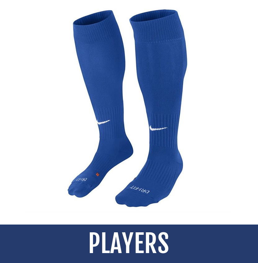 Direct soccer banner link