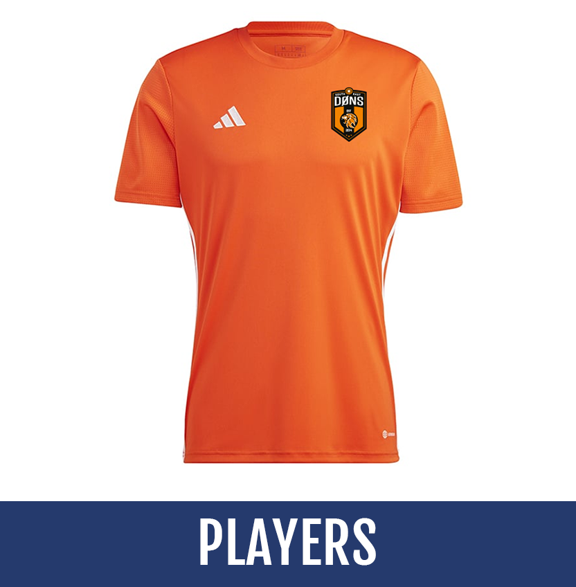 Direct soccer banner link