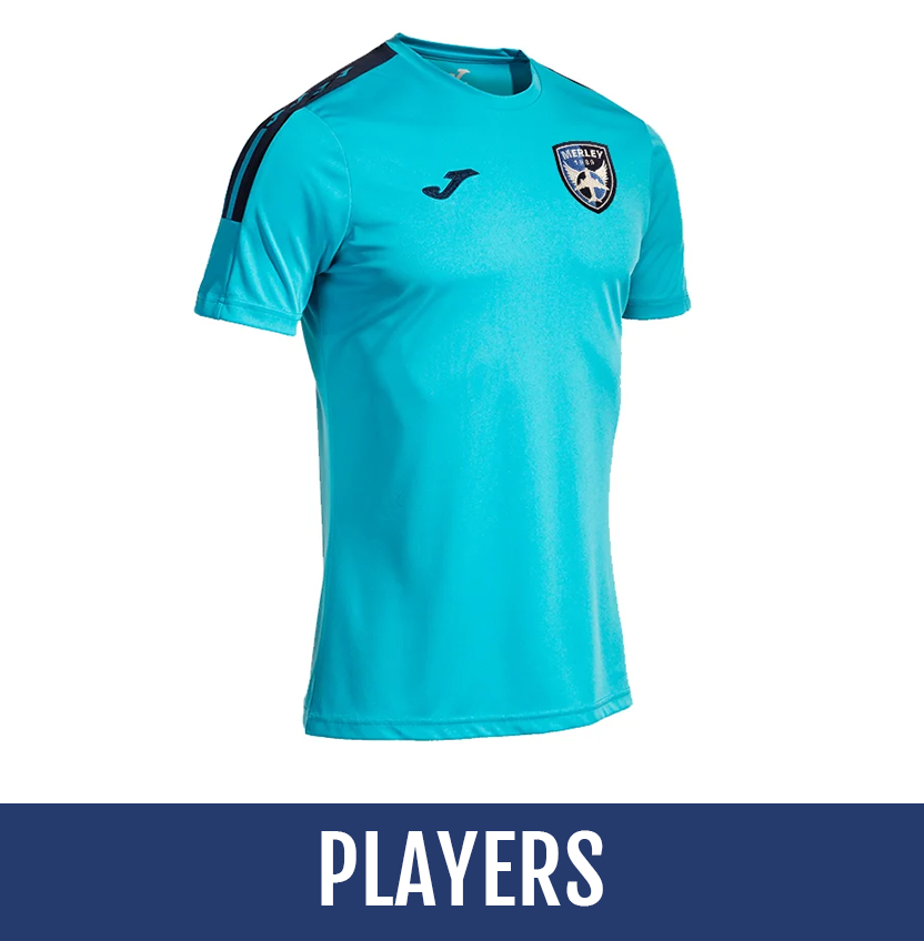 Direct soccer banner link