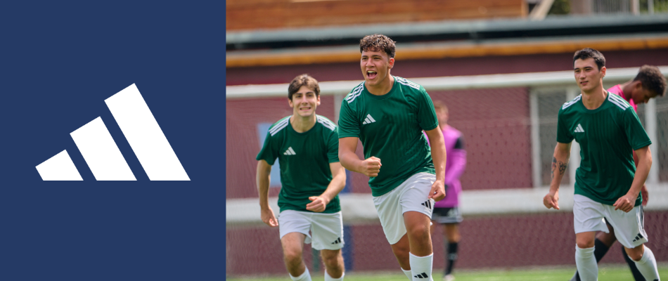 Direct soccer banner link
