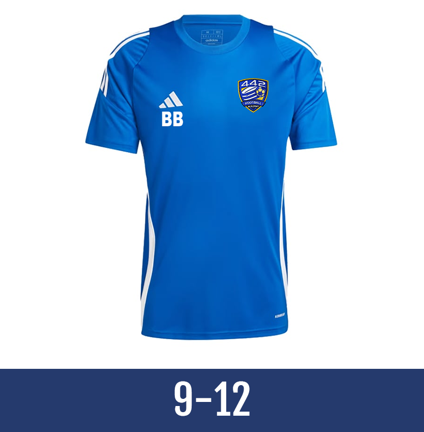 Direct soccer banner link