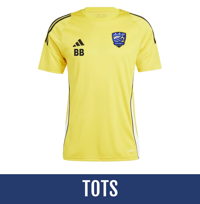Direct soccer banner link
