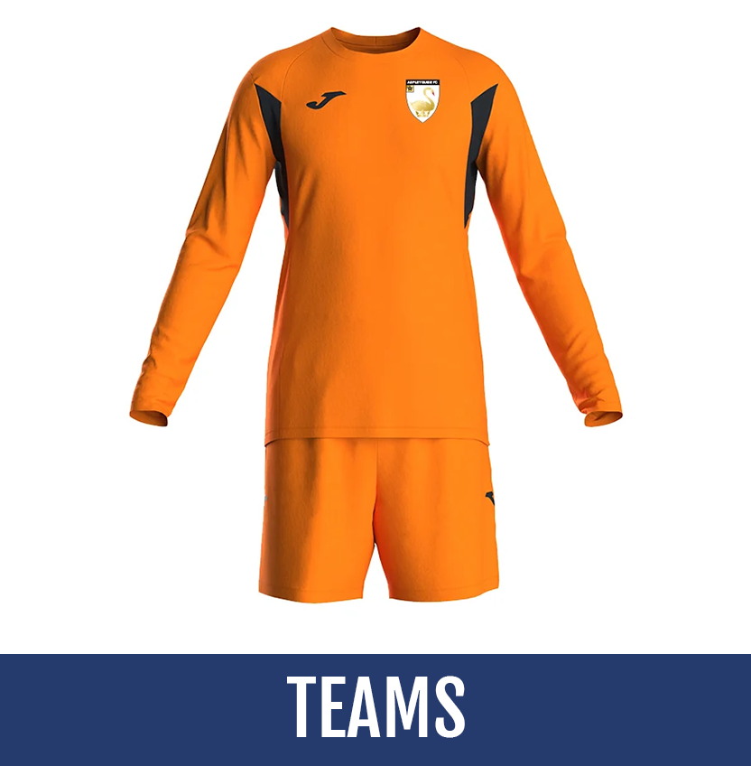 Direct soccer banner link