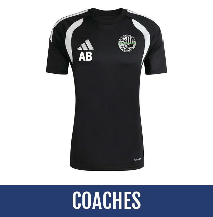 Direct soccer banner link
