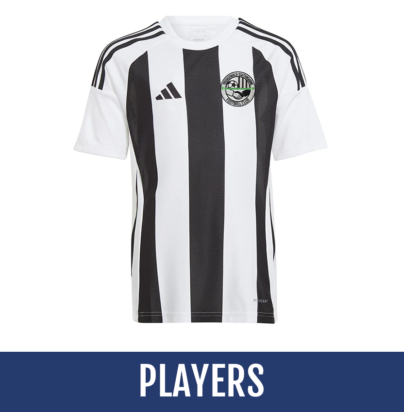 Direct soccer banner link
