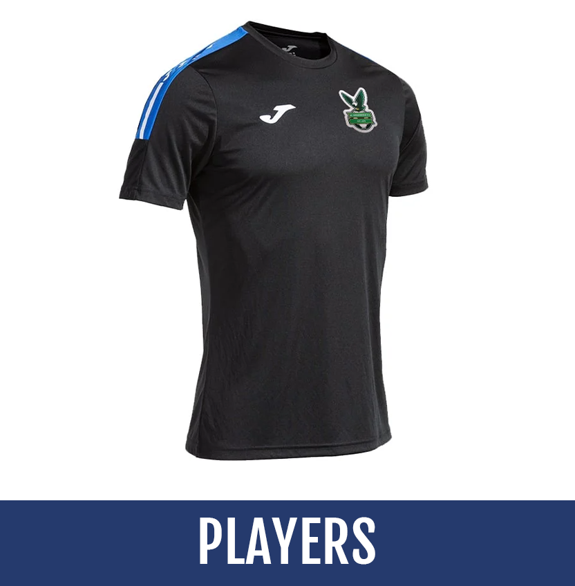 Direct soccer banner link