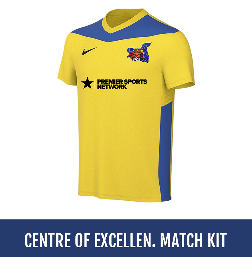 Direct soccer banner link