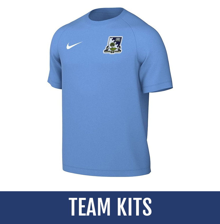 Direct soccer banner link