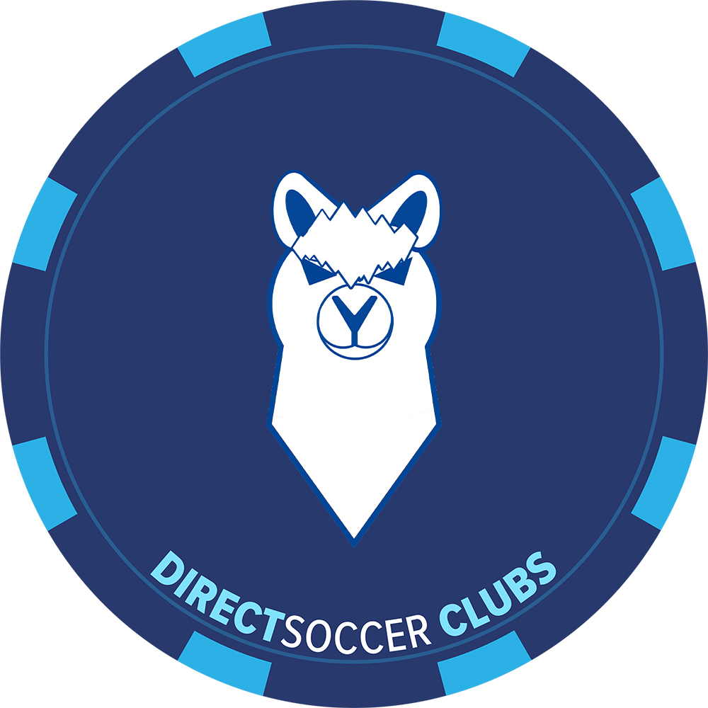DENYS SALT ROVERS A.F.C TOKEN