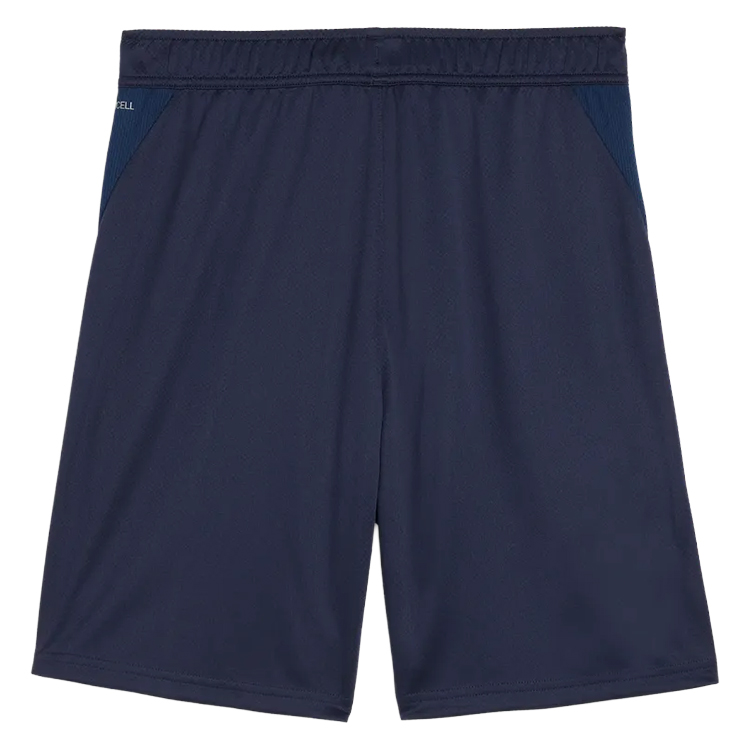 Puma teamGOAL Training Shorts