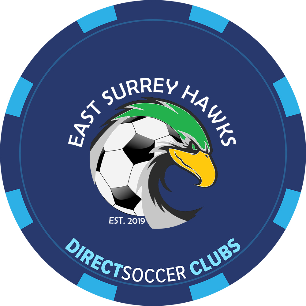 EAST SURREY HAWKS TOKEN