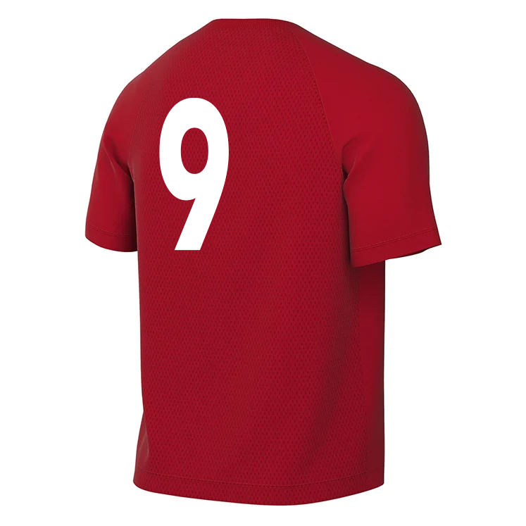 BINFIELD FC Nike Park VIII Dri-FIT SS Jersey