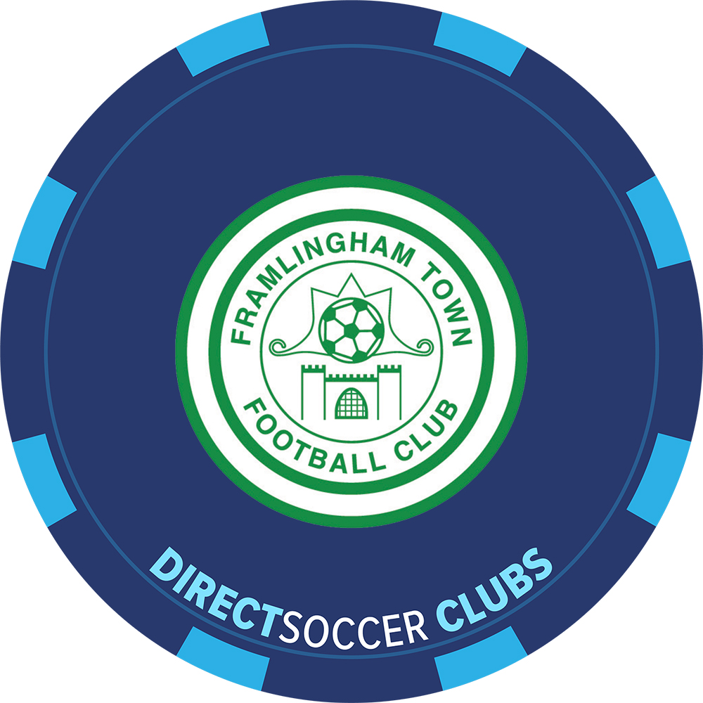FARMLINGHAM TOWN FC TOKEN