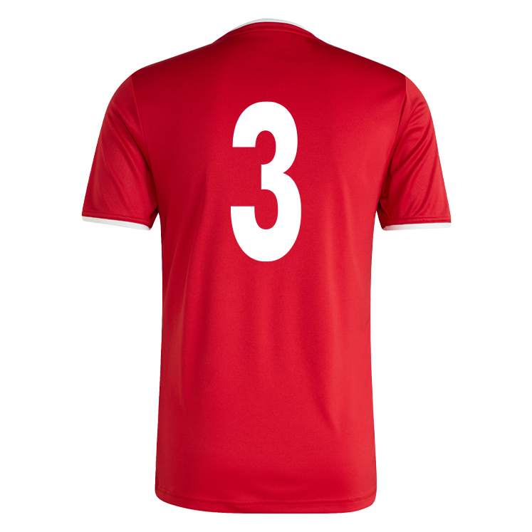 HEDNESFORD AFC adidas Entrada 26 Jersey