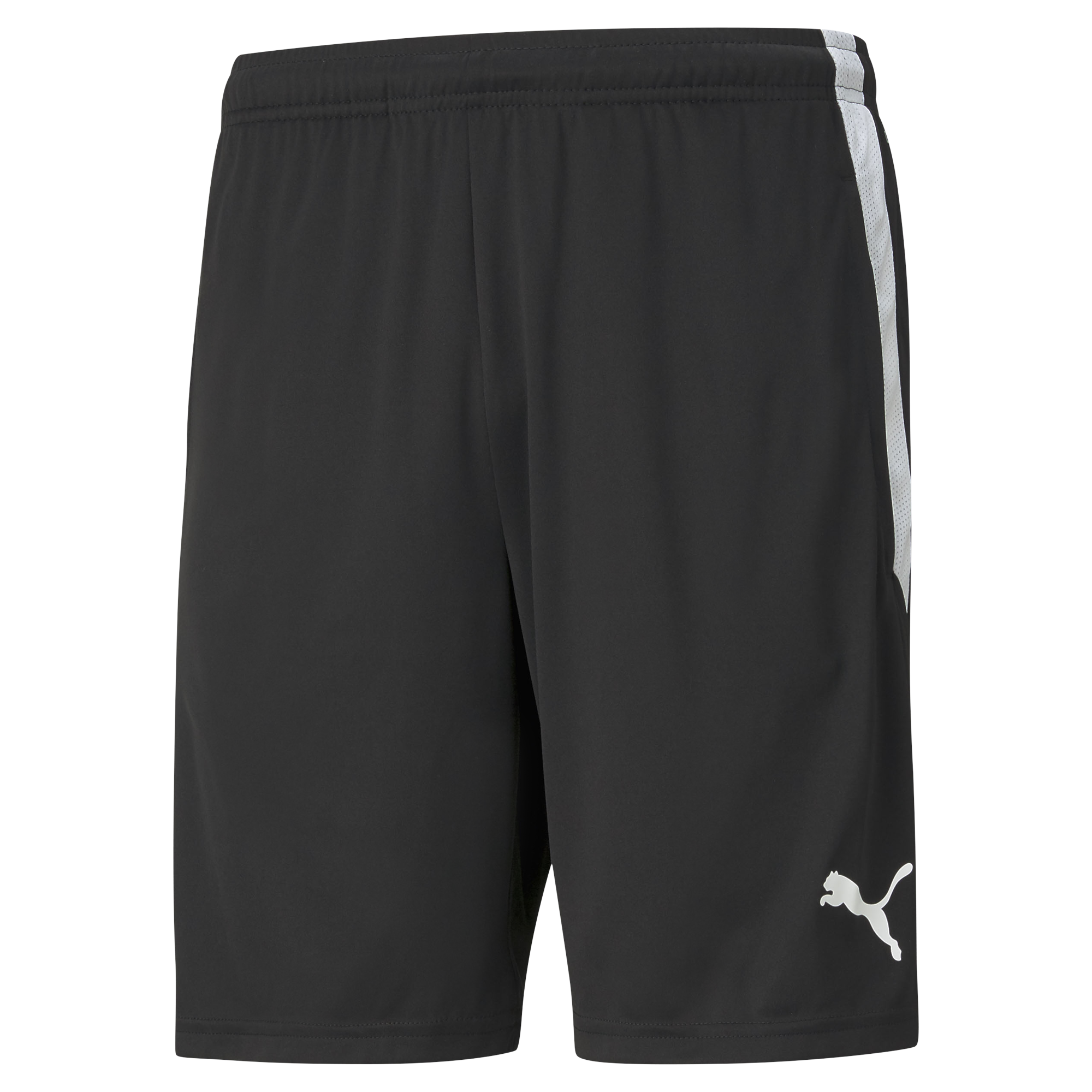 Puma DIRECTSOCCER #DSU13-SHORTS