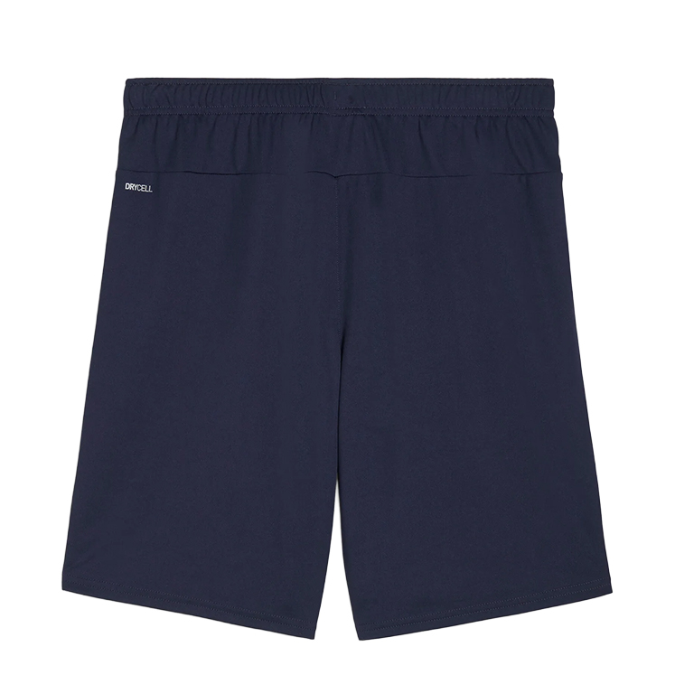 Puma teamGOAL Shorts