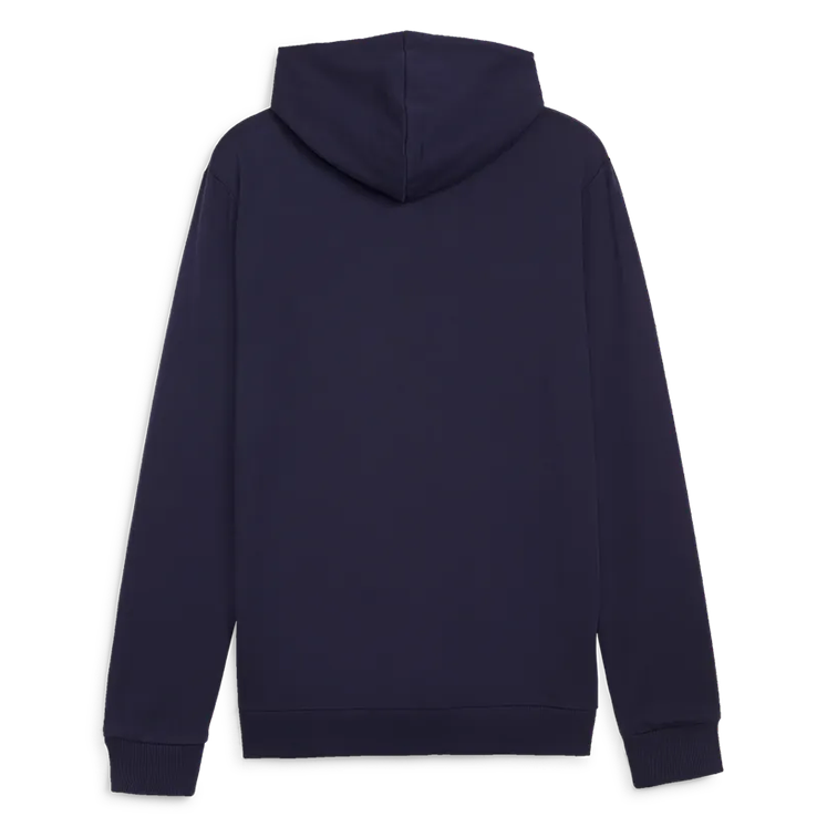 Puma teamGOAL Casuals Hoody