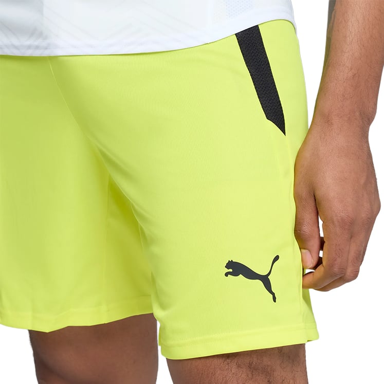 Puma teamLIGA Shorts