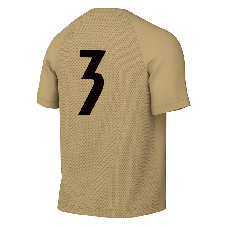 PLAYER FOCUSED DEVELOPMENT Nike Park VIII Dri-FIT SS Jersey