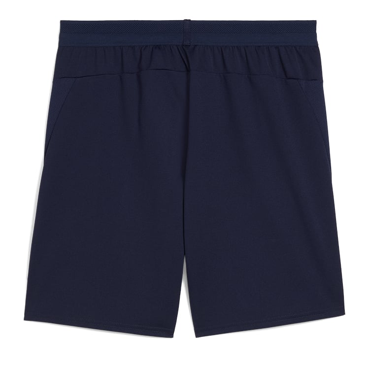 Puma teamCUP Shorts