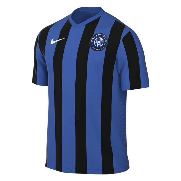 PARKWYDDN JFC Nike Striped Division V Dri-FIT Jersey