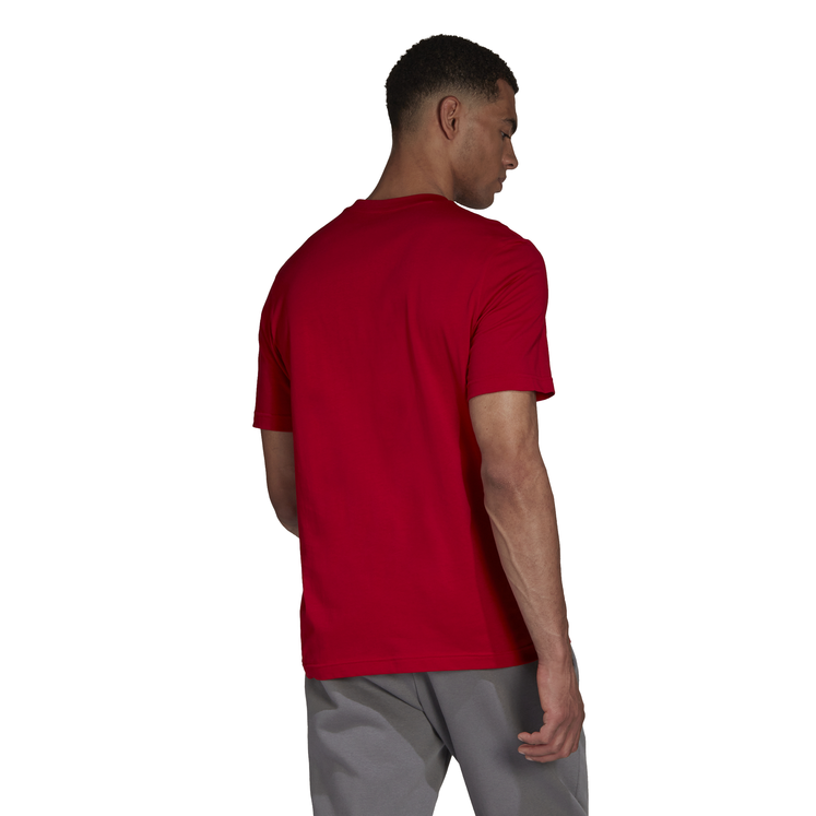 adidas Entrada 22 Tee