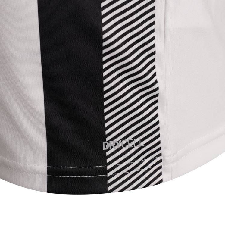 Puma teamLIGA Striped Jersey