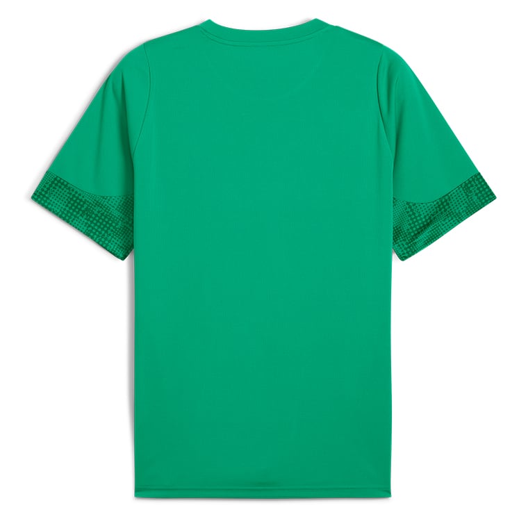 Puma teamCUP Training Jersey