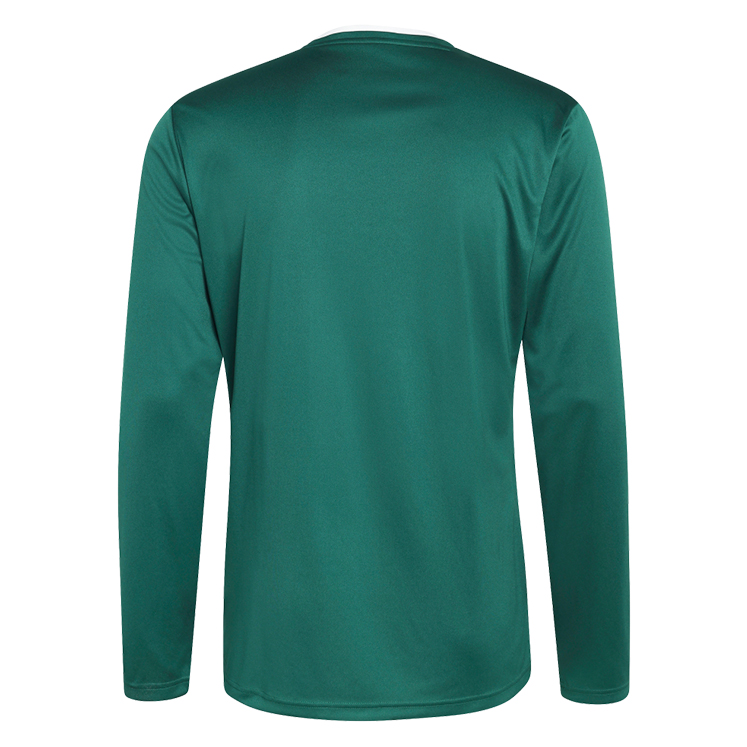 adidas Entrada 26 LS Jersey
