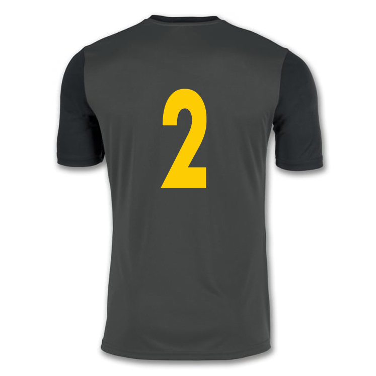 TROWBRIDGE TOWN FC Joma Winner S/S Jersey