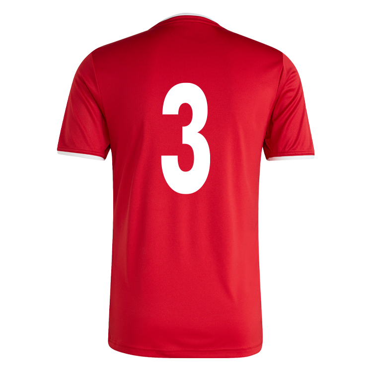 ANDOVERSFORD FOOTBALL CLUB adidas Entrada 26 Jersey