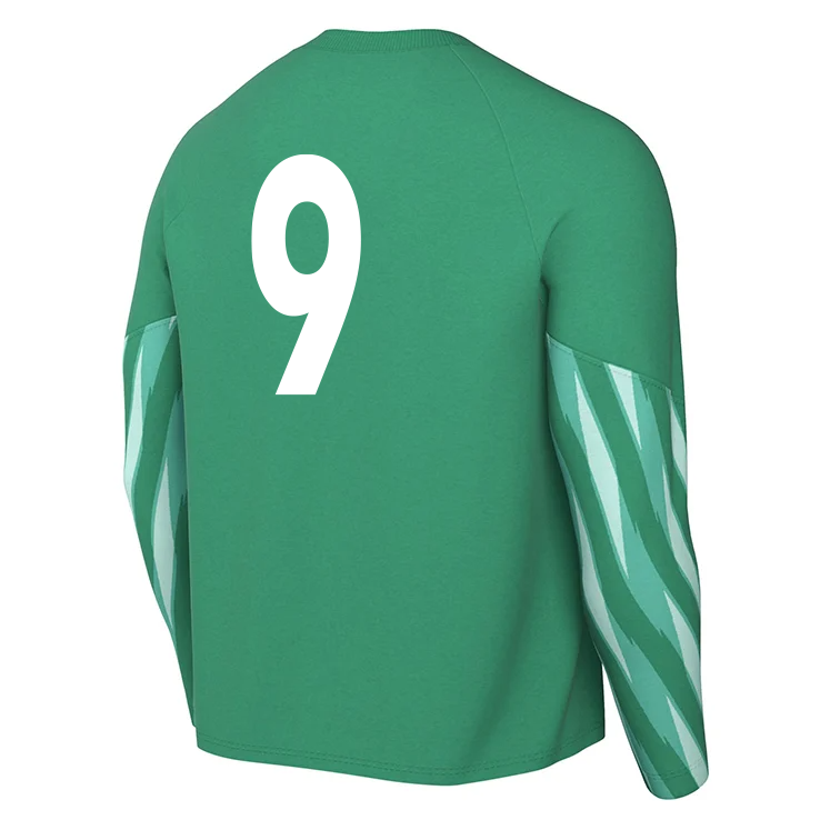 BINFIELD FC Nike Park V Dri-FIT LS GK Jersey