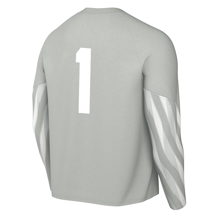 PRO 33 FC Nike Park V Dri-FIT LS GK Jersey