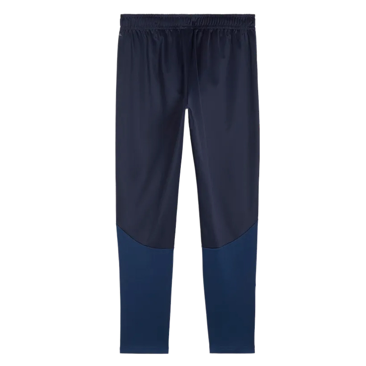 Puma teamGOAL Training Pants