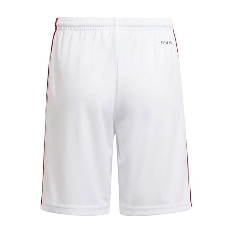 SPORT LONDON BENFICA adidas Squadra 21 Shorts