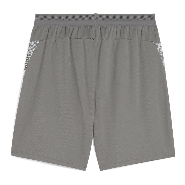 Puma teamCUP Training Shorts