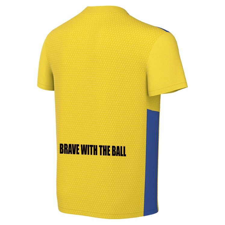 U 7 - U16 Nike Park Derby IV Jersey 