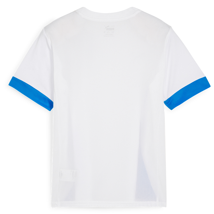 Puma teamGOAL Matchday Jersey