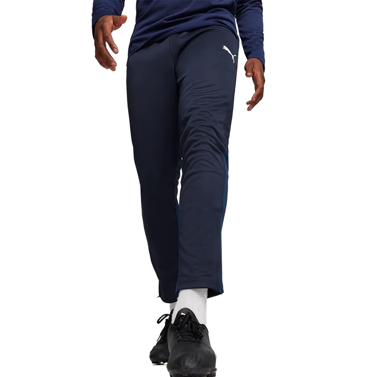 Puma teamGOAL Training Pants