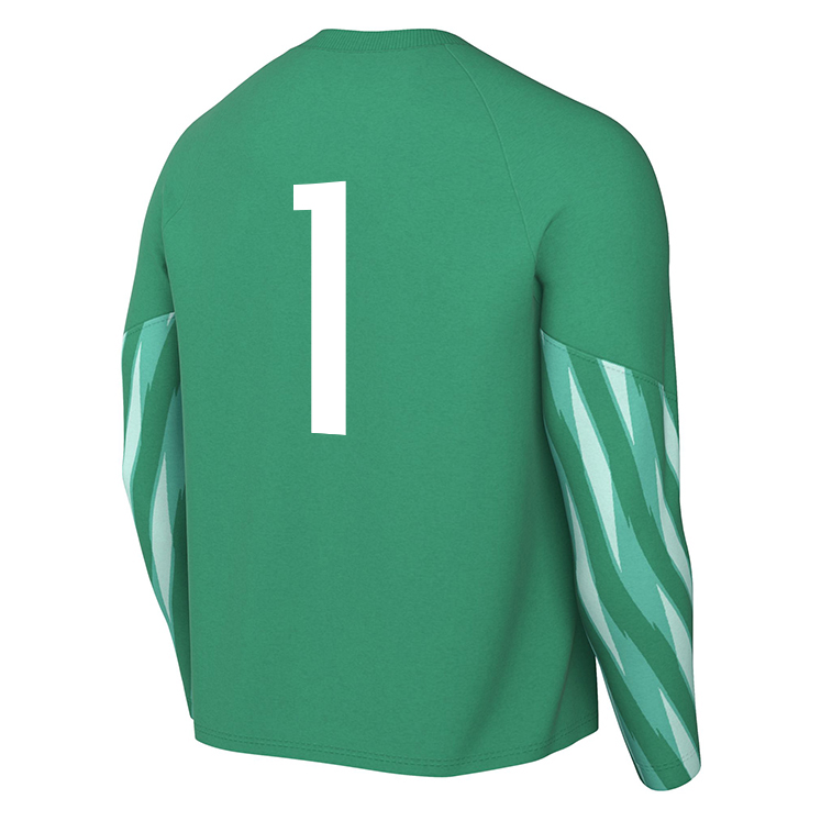 UPPER CLATFORD YOUTH FC Nike Park V Dri-FIT LS GK Jersey