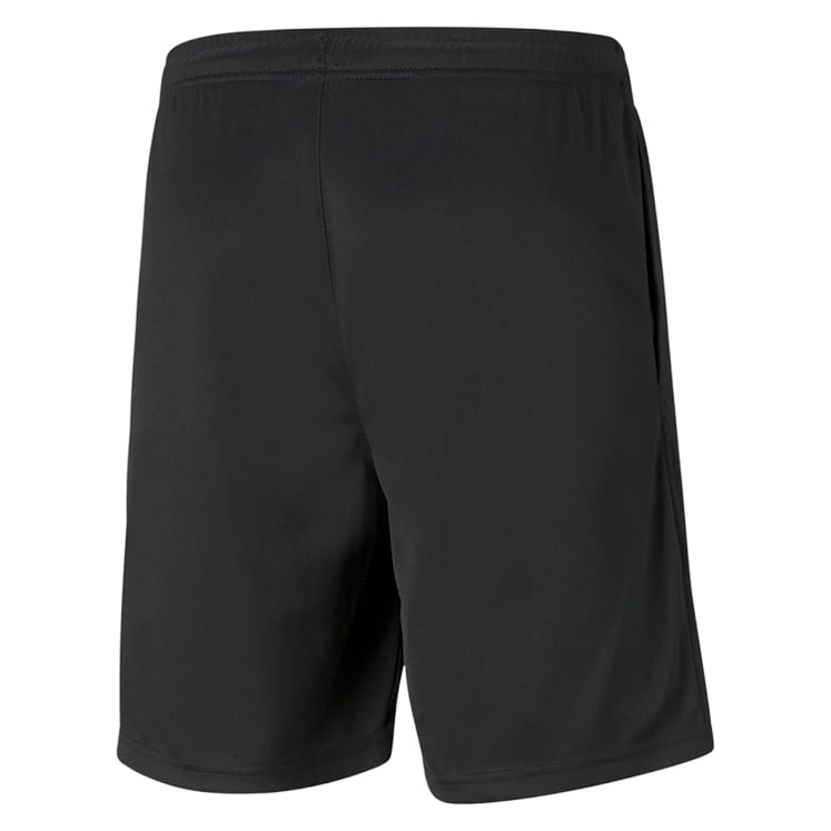 Puma teamRISE Training Shorts
