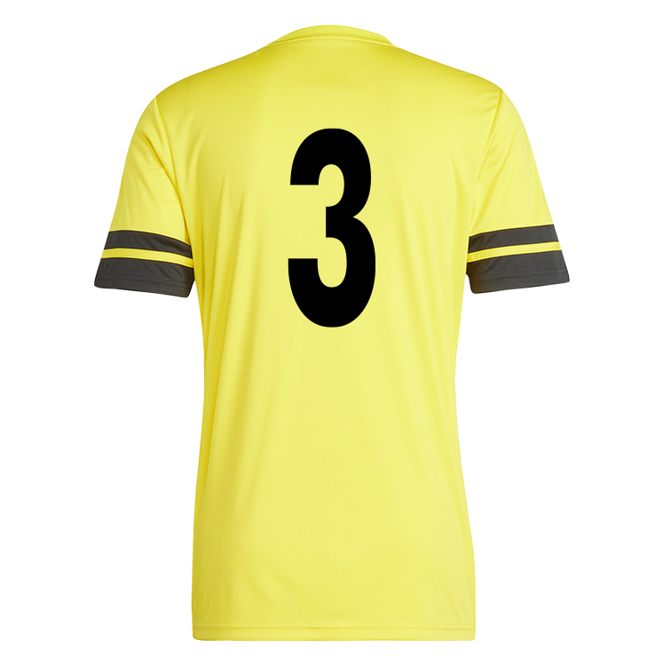 ANDOVERSFORD FOOTBALL CLUB adidas Squadra 25 Jersey