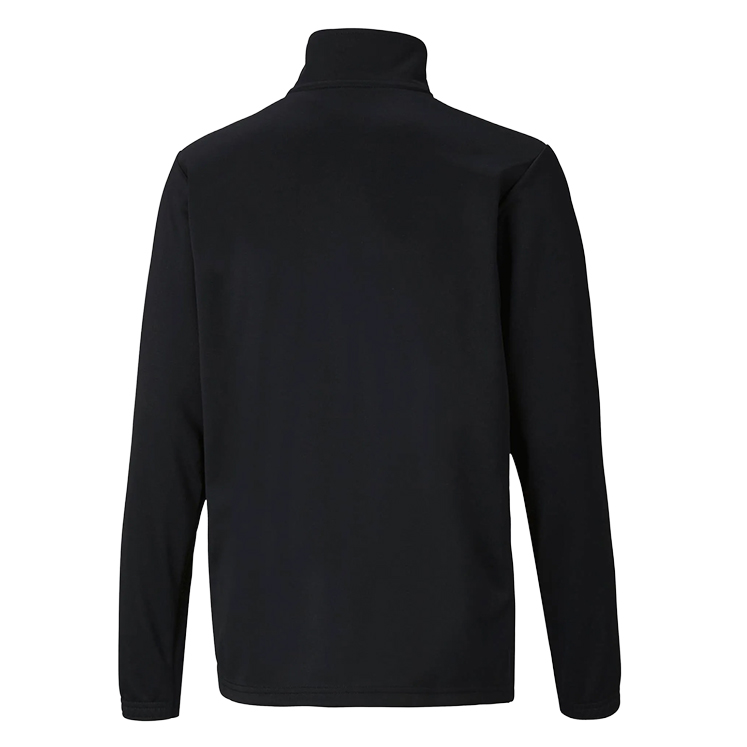 Puma teamRISE Training 1/4 Zip