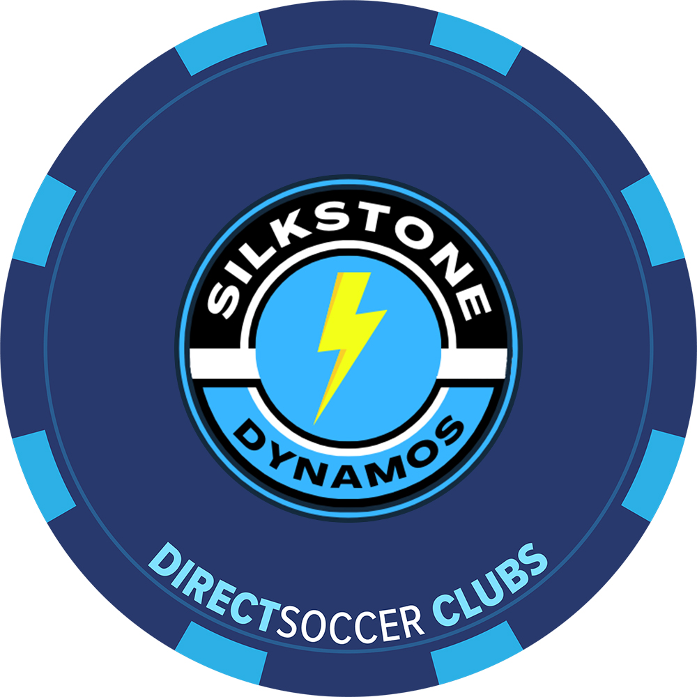 SILKSTONE DYNAMOS TOKEN