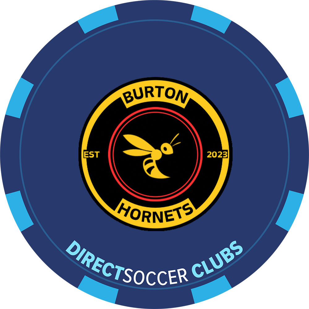 BURTON HORNETS TOKEN