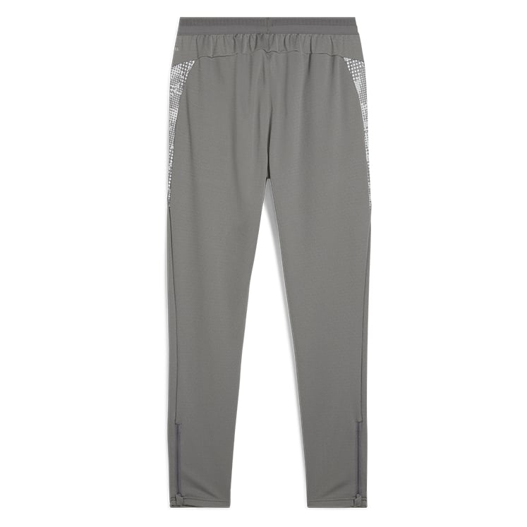 Puma teamCUP Training Pants