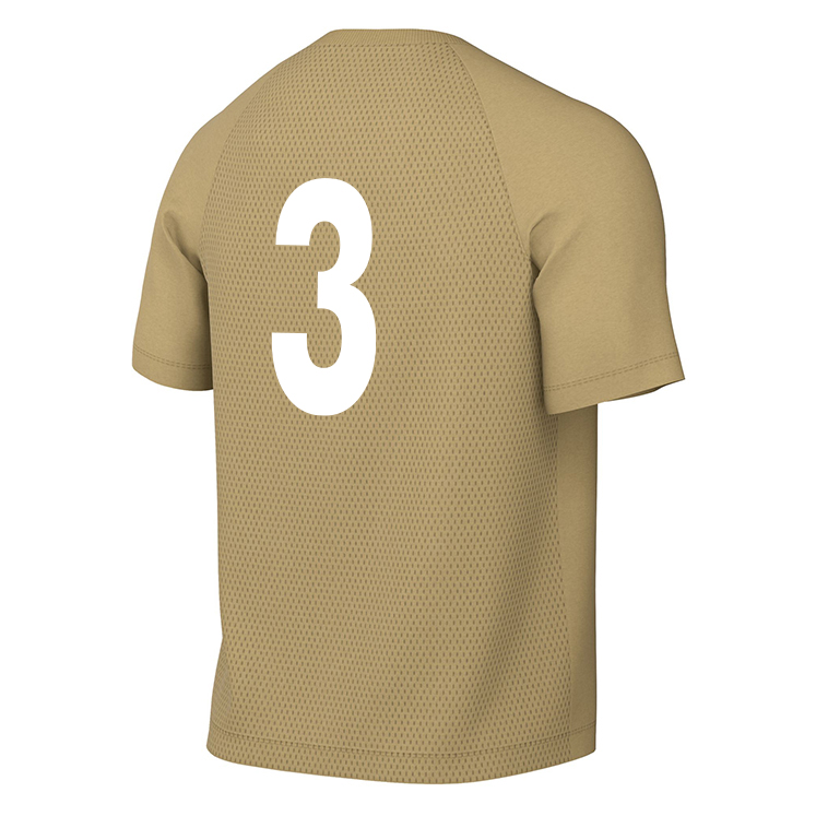 PRO 33 FC Nike Park VIII Dri-FIT SS Jersey